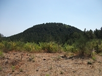 Pineta_Ragabo - 20110828 128.jpg